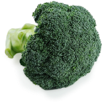 Brokoli Vegetable Friend