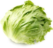 Lettuce Vegetable Friend
