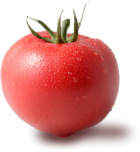 Tomat Vegetable Friend
